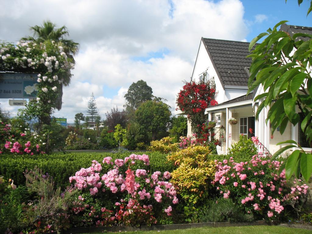 Rosalie On Albert B&B Whitianga Extérieur photo