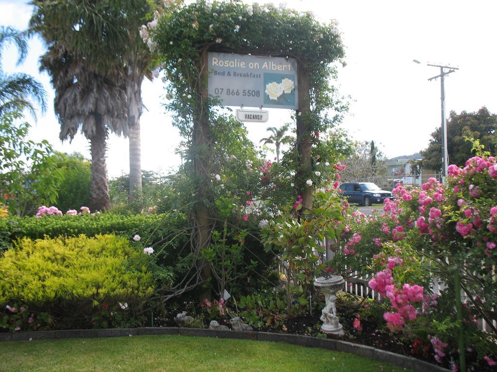 Rosalie On Albert B&B Whitianga Extérieur photo